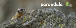 Parc Adula new brand